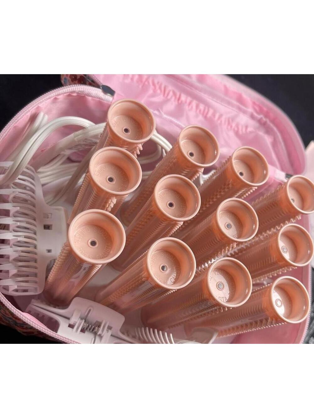 Calista Ion 5" Hot Rollers for Long Hair with Floral Carrying Case- Does Work